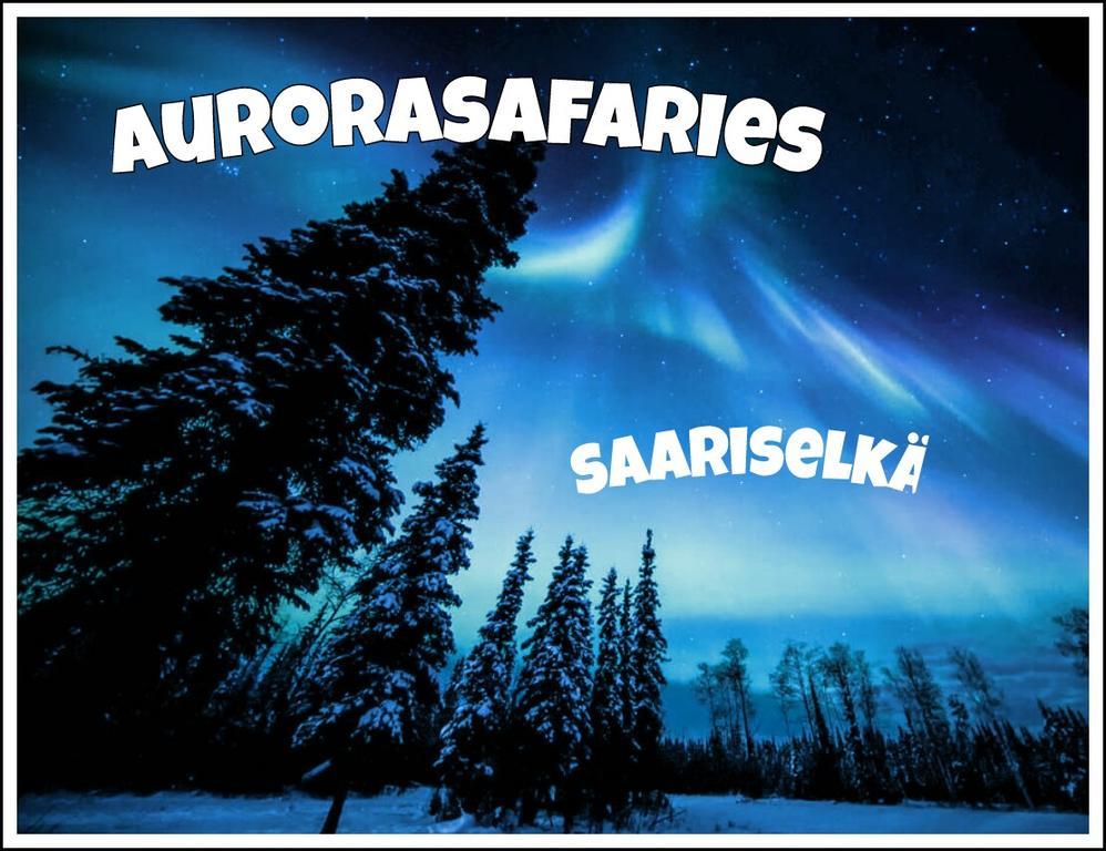 Auroracabin Chalets ساريسيلكا المظهر الخارجي الصورة